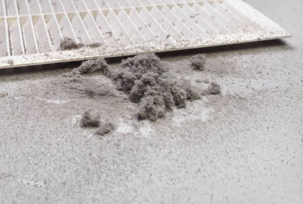 Best Home Air Vent Cleaning  in Kingston, NY